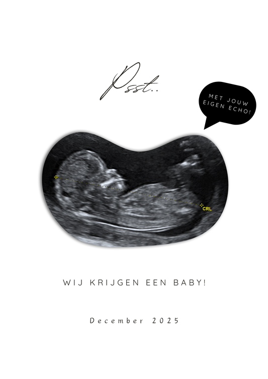 MUKKI ECHO POSTER - PSST.. WIJ KRIJGEN EEN BABY!