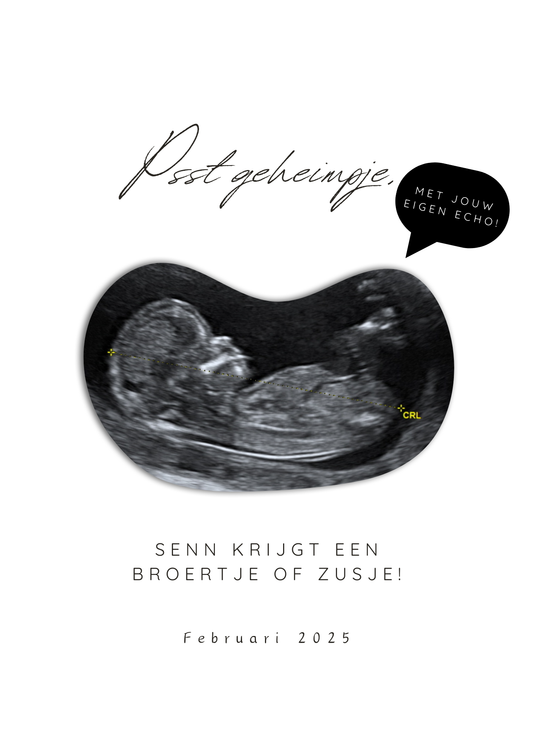 MUKKI ECHO POSTER - PSST GEHEIMPJE, BROERTJE/ZUSJE